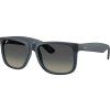 21781 ray ban ray ban justin rb4165
