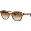 21787 ray ban rb4398
