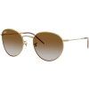 Ray-Ban RBR0103S