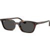 21889 ray ban rb4456