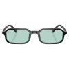 22024 2 emporio armani ea4253u