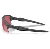 Oakley Flak 2.0 XXL Matte Carbon w/ Prizm Dark Golf