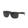 22621 ray ban justin rb4165