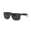 Ray-Ban Justin RB4165