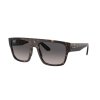 Ray-Ban RB0360S