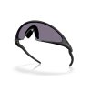 Oakley Ellipse Matte Black w/ Prizm Grey
