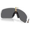 23797 6 oakley sutro lite matte white w prizm black