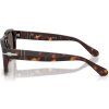 24106 1 persol po3386s