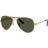 Ray-Ban RB3925