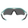 24577 3 oakley radar plate matte black w prizm black polarized