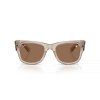 25222 3 ray ban rb0840s