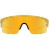 3096 2 oakley resistor pm gold w prizm 24k