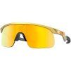3096 oakley resistor pm gold w prizm 24k