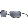OAKLEY Square Wire Matte Black w/ Blk Ird Polar