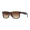 Ray-Ban Justin RB4165