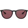 Ray-Ban Erika RB4171