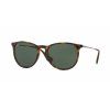 5202 ray ban erika rb4171