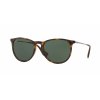 Ray-Ban Erika RB4171