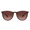 Ray-Ban Erika RB4171