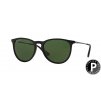 Ray-Ban Erika RB4171