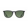 5283 ray ban erika rb4171