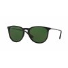 Ray-Ban Erika RB4171