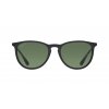 Ray-Ban Erika RB4171
