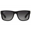 Ray-Ban Justin RB4165