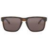 540 2 oakley holbrook xl mttbrwntort w prizm black