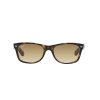 Ray-Ban New Wayfarer RB2132