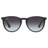 Ray-Ban Erika RB4171
