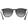 5610 3 ray ban erika rb4171