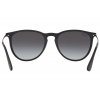 Ray-Ban Erika RB4171