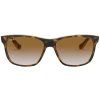 Ray-Ban RB4181