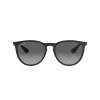 Ray-Ban Erika RB4171