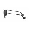 6003 2 ray ban erika rb4171