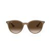 6018 1 ray ban rb4305