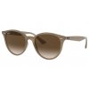 Ray-Ban RB4305