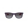 Ray-Ban RJ9052S