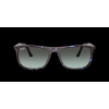 Ray-Ban RB2216 - celkový pohled