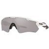6300 oakley radar ev path pol wht w prizm blk pol