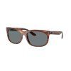 Ray-Ban RB2389 - celkový pohled