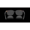 Ray-Ban RX7248D - detail