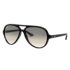 Ray-Ban RB4125 - detail