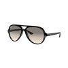 Ray-Ban RB4125 - celkový pohled
