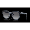 Ray-Ban RB4423D - celkový pohled