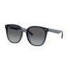 Ray-Ban RB4423D - celkový pohled