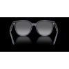 Ray-Ban RB4423D - pohled zepředu