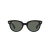 Ray-Ban RB2199