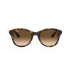 7314 1 ray ban rb4203